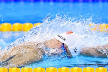 IM体育官方网站-铁壁铸胜局，2026世界杯C组焦点战，塞尔维亚凭登贝莱神锋与钢铁防线完胜哥伦比亚