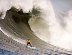 IM体育-阿尔卡拉斯美网完胜拉沃尔杯，新生代领军人带队改写网坛格局