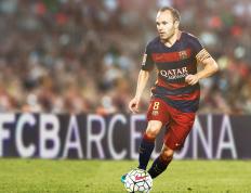 IM体育官网入口-绿茵场上的铁血碾压，乒乓球台上的惊艳绝伦—葡萄牙与樊振东的双重奏