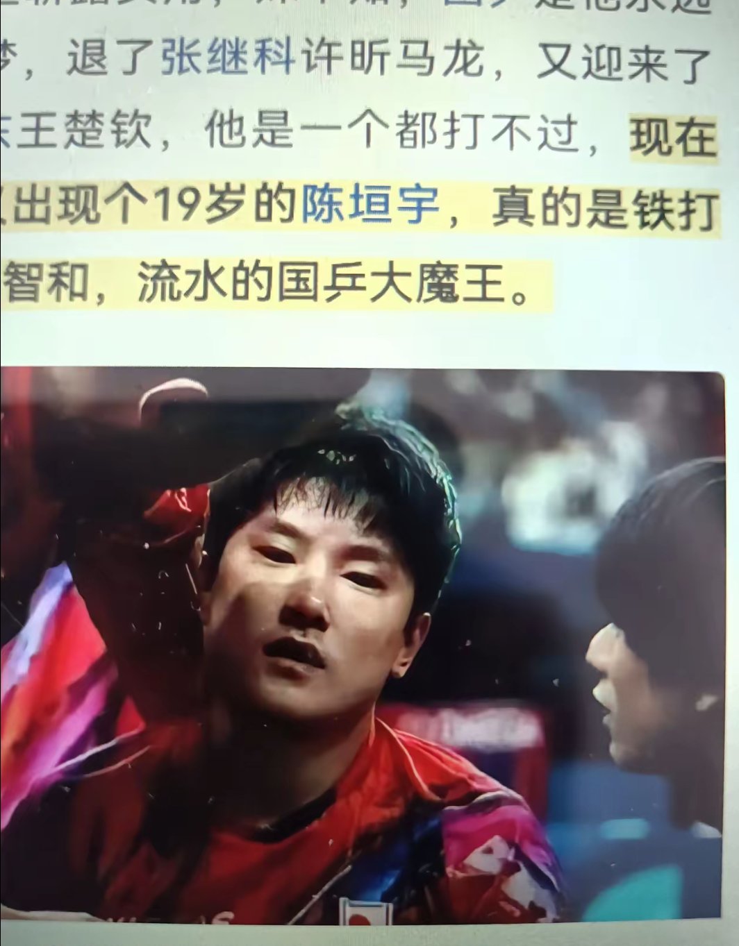 IM体育官方网站-中国乒乓球队碾压瑞典乒乓球队，张本智和爆发神勇的简单介绍
